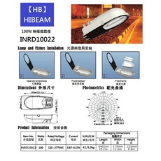 HIBEAM 無極燈路燈 100W 色溫5000K 工程用道路照明, 1個