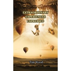 (英文圖書) Extraordinary Experiences Expressed 平裝版, Creative Arts Management Ou, 英文