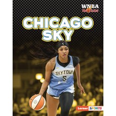 (英文圖書)Chicago Sky Library Binding, Lerner Publications (Tm), 英文, 圖書館裝訂