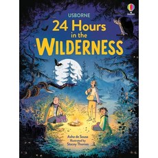 (英文圖書)24 Hours in the Wilderness 精裝版, Usborne Books, 英文