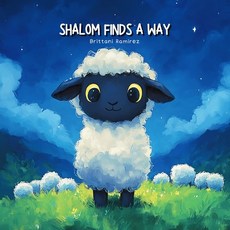 (英文圖書)Shalom Finds A Way 平裝版, Scribbles and Scriptures, 英文