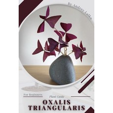 (英文圖書) Oxalis triangularis: Plant Guide 平裝版, Independently Published, 英文