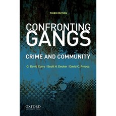 (英文圖書) Confronting Gangs: Crime and Community 平裝版, Oxford University Press, USA, 英文