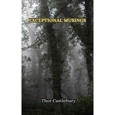 (英文圖書) Exceptional Musings 平裝版, Creative Arts Management Ou, 英文