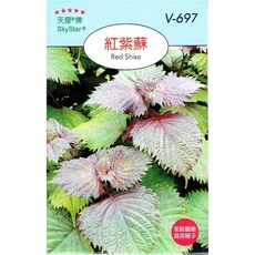 天星牌 紅紫蘇種子