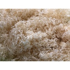 TAPVEI 倉鼠/兔子/爬蟲 白楊木絲墊材 實驗室級巢料絲 小動物墊料