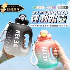 漸層雙色大容量吸管運動水壺 環保 ins風 交換禮物 生日 聖誕節 萬聖節