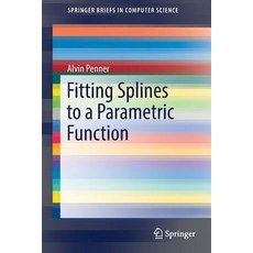 Fitting Splines to a Parametric Function 平裝版, Springer, 英文