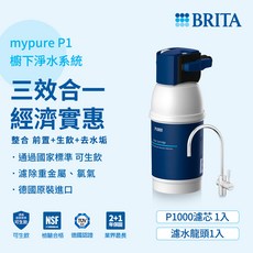 德國BRITA P1000 櫥下硬水軟化型濾水系統, P1