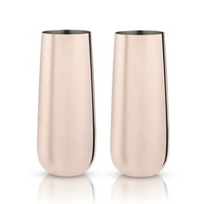 VISKI 玻璃銅香檳杯, 2件, 236.6毫升