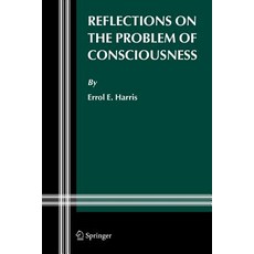 (英文圖書) Reflections on the Problem of Consciousness 平裝版, Springer, 英文