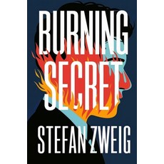 (英文圖書) Burning Secret: A New Translation 平裝版, Independently Published, 英文