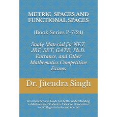 (英文圖書) Metric Spaces and Functional Spaces: Book Series P-7/24 平裝版, Independently Published, 英文