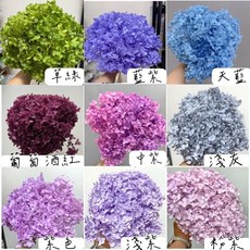 【W&T花藝資材】台灣現貨 單枝繡球花材：夢幻繡球、安娜繡球、小葉繡球，DIY花藝、永生花、乾燥花素材, 桃粉