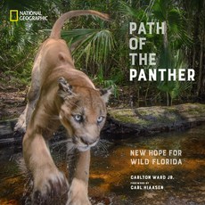 (英文圖書) Path of the Panther: New Hope for Wild Florida 精裝版, National Geographic Society, 英文