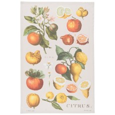 now DESIGNS 圖案印花棉質廚房毛巾, 1條, 柑橘植物款