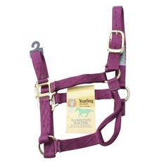 Hamilton Products 騎馬裝備 Jelling（僅限 150-225 公斤）, 1個, 葡萄酒