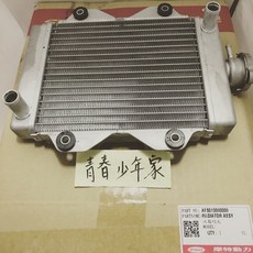 PGO 原廠 彪虎 地瓜 TIGRA 125 150 ABS 6期 水箱總成, 1個, 1L
