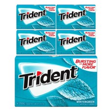 TRIDENT 破壞更多風味無糖口香糖木糖醇冬青, 1.9g, 70入