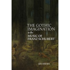 (英文圖書) The Gothic Imagination in the Music of Franz Schubert 精裝版, Boydell Press, 英文