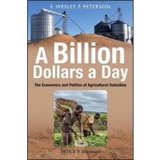 (英文圖書) A Billion Dollars a Day 平裝版, Wiley-Blackwell, 英文
