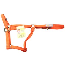 Hamilton Products 軟管吊帶騎行設備 L（僅限 500-725 千克）, 1個, 芒果