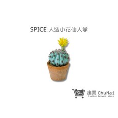 【SPICE】人造小花仙人掌 人造多肉植物 多肉擺飾 辦公室植栽 懶人綠植 居家裝飾 假盆栽 趣買購物旅遊生活館