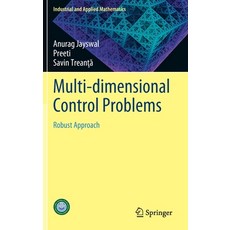 (英文圖書) Multi-Dimensional Control Problems: Robust Approach 精裝版, Springer, 英文