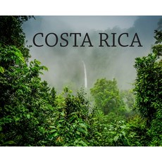 Costa Rica: Photography Book 精裝版, Elyse Booth, 英文