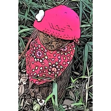 (英文圖書) Ojizosan 平裝版, Independently Published, 英文