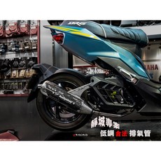 HS1/H01排氣管防燙蓋 DRG/MMBCU/JETSL/水冷BWS, 詳見包裝