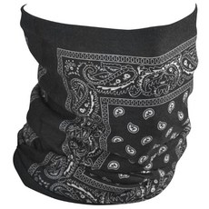 Zanheadgear Motley Tube 抓絨內襯圍脖