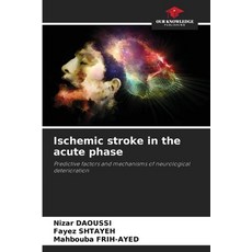 (英文圖書) Ischemic stroke in the acute phase 平裝版, Our Knowledge Publishing, 英文