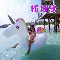 獨角獸造型浮排, 詳見包裝