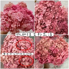 W&T花藝資材 台灣現貨 瑕疵繡球出清 夢幻安娜繡球 小葉繡球 DIY花材 乾燥花 永生花, 粉