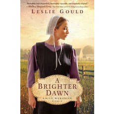 (英文圖書) A Brighter Dawn 精裝版, Bethany House Publishers, 英文