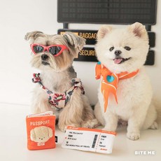 Bite Me Hi! Sky! 寵物藏食發聲玩具, 橘色，白色