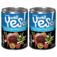 Campbell's 金寶 綜合蔬菜湯罐頭, 2罐, 458g