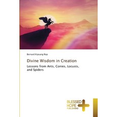 (英文圖書) Divine Wisdom in Creation 平裝版, Blessed Hope Publishing, 英文