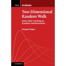 Two-Dimensional Random Walk: From Path Counting to Random Interlacements 平裝版, Cambridge University Press, 英文