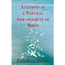 (英文圖書) Attempts at a Natural Arrangement of Birds 平裝版, White Press, 英文