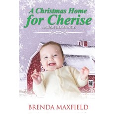(英文圖書) A Christmas Home for Cherise 平裝版, Independently Published, 英文