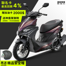 KYMCO光陽機車 RTS 165 TCS 水冷 小神盾駕御險 SA33AA 進程車業 機車工程師, 平光黑(消光), RTS 165 TCS SA33AA