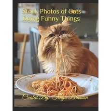 (英文圖書) Stock Photos of Cats Doing Funny Things 平裝版, Independently Published, 英文