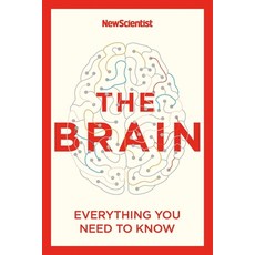 (英文圖書) The Brain: Everything You Need to Know 平裝版, Nicholas Brealey Publishing, 英文