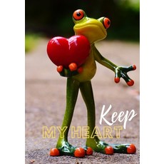 Journal - Keep My Heart: Organizer notes 平裝版, Gaetano Riccobene, 英文