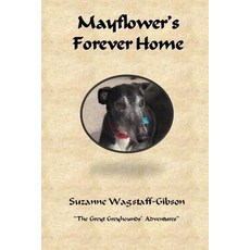(英文圖書)Mayflower's Forever Home 平裝版, Createspace Independent Pub..., 英文