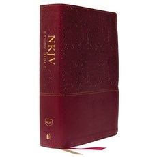 (英文圖書) NKJV Study Bible Imitation Leather Red Full-Color Red Letter Edition Comfort Print: The Complet... Imitation Leather, Thomas Nelson, English