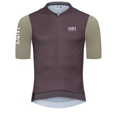 BAISKY百士奇自行車男款空力短車衣 透氣舒適 專業騎行服裝