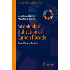 (英文圖書) Sustainable Utilization of Carbon Dioxide: From Waste to Product 精裝版, Springer, 英文